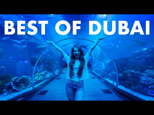 VISITING THE DUBAI AQUARIUM | Dubai Travel Guide, UAE