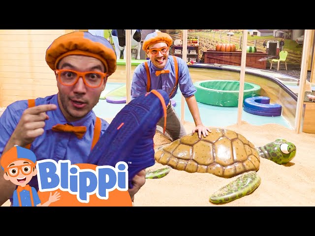 Blippi Explores a Children's Museum - Learning Kid's Toys! | Kids TV Shows | Cartoons For Kids |