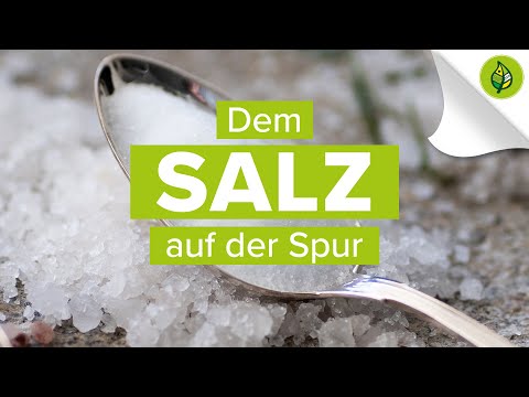 Der Weg des SALZES in Österreich