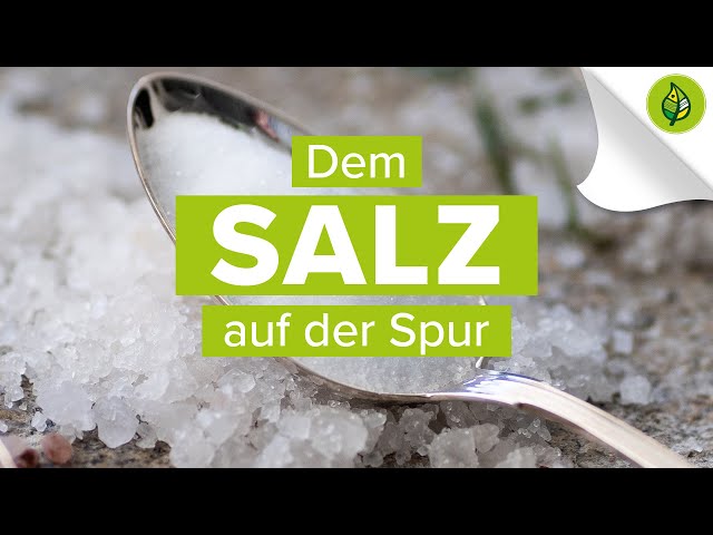 Der Weg des SALZES in Österreich - Teaser