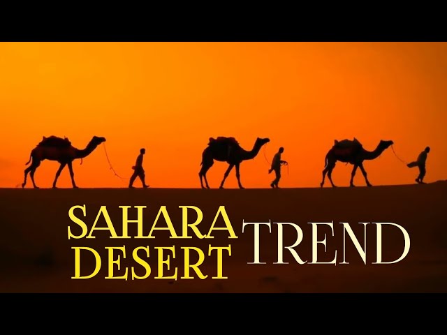 sahara desert || sahara desert documentary || sahara desert in  8k hdr ||
