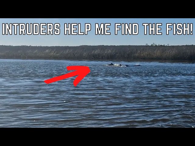 Using Your Surroundings To Find The Fish [Fishing Report]