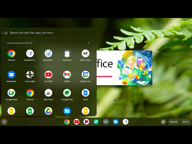 Chrome OS Flex: Installing Linux Apps & 4 Month Review of Google’s New PC OS
