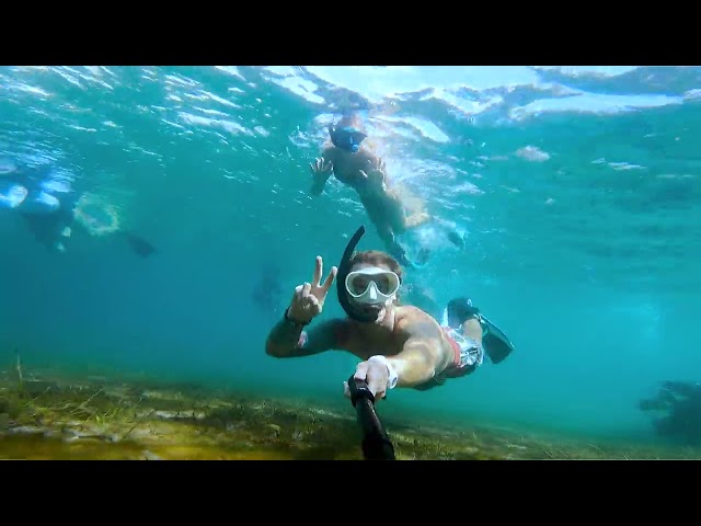 You've Gotta Try This: Snorkeling at Blue Heron Bridge in Riviera Beach