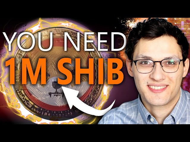 Why You Need 1 Million Shiba Inu Coins Today!