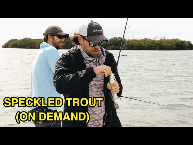 Speckled Trout ON DEMAND (LIVE)
