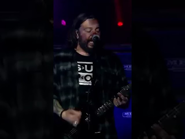 "Bruised and Bloodied" live is my favorite kind of "Bruised and Bloodied" 🤘 #shorts #seether