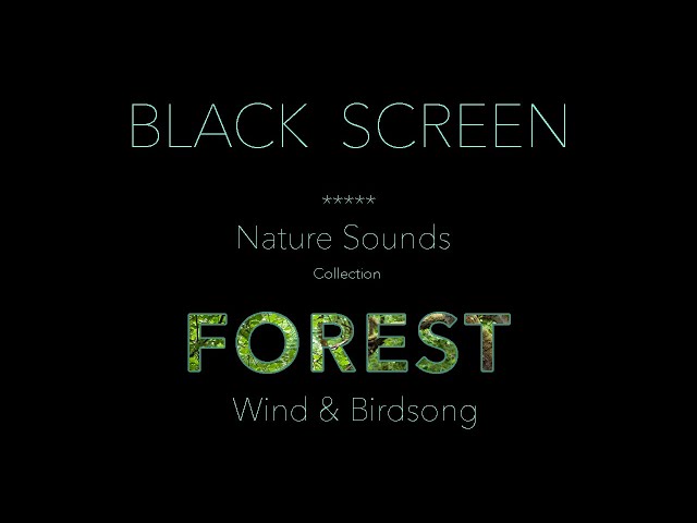 Forest Nature Sounds Birds Singing Black Screen- Relaxing Wind & #birdsounds-Calm Sleeping Sound