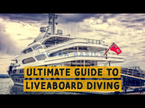 Scuba Diving Basics: A Divers Ultimate Guide To Liveaboard Diving