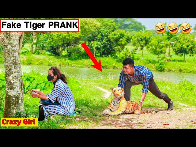 Fake Tiger PRANK on Cute Girl | So Funny Prank Videos | Try To not Lough | ComicaL TV