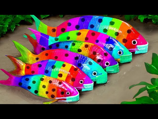 Colorful Surprise Eggs, Duck, Ducklings, Lobster, Snake, Koi Fish, Frog, Butterfly Fish, Goldfish #8