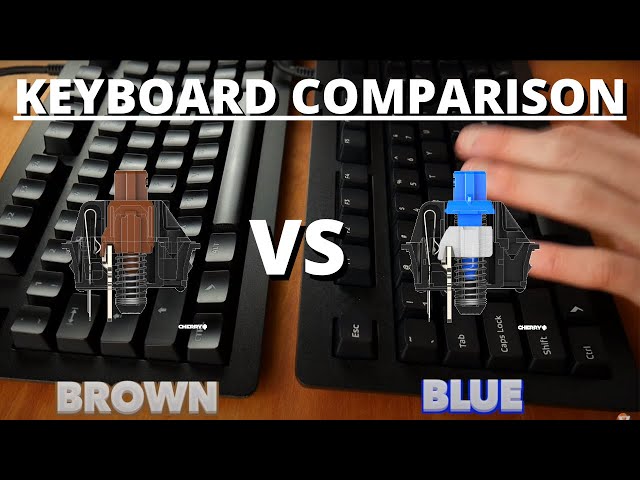 Cherry MX Blue vs Brown - What are The Best Keyboard Switches?
