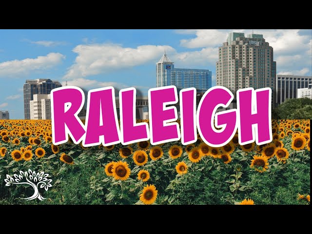 Raleigh NC Rocks!! Top 10 Reasons I Love Living Here