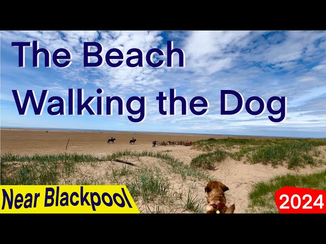 Sunny Day - Beach Walk with Dog - Nr Lytham St Annes / Blackpool