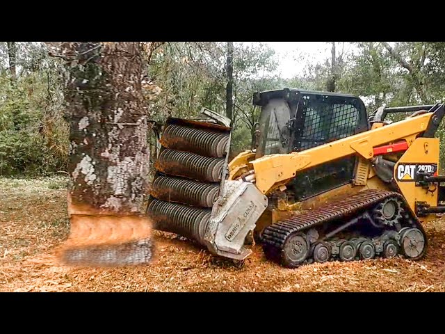 Incredible Giant Tree Mulcher Wood Shredder Equipment Working, Dangerous Big Wood Crusher Chipper