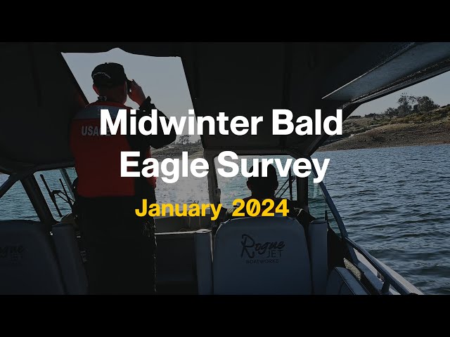 District Park Rangers Conduct 2024 Midwinter Eagle Survey