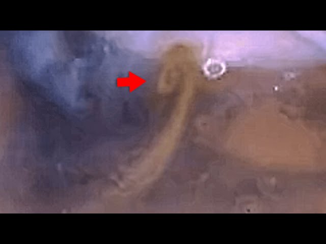 Huge Vortex of Dust Storm on Mars and its impact on on Martian climate