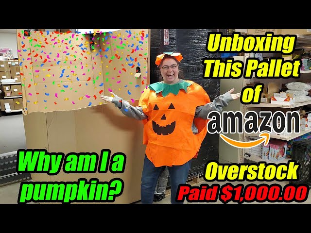Unboxing a pallet dressed as a pumpkin. Check out what we got from Amazon! Paid $1,000.00