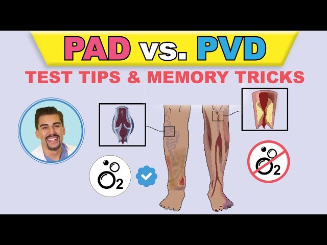 PAD vs  PVI  cartoon animation & memory tricks   peripheral arterial disease pathophysiology, signs