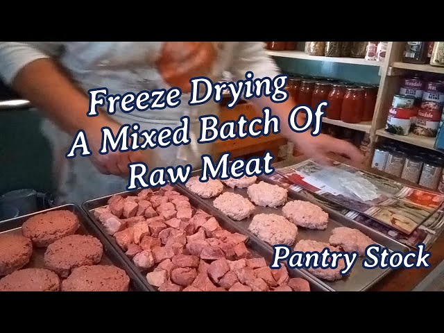 Freeze Drying A Mixed Batch Of Raw Meat | Pantry Stock
