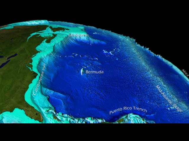 Oceanography 3 (Marine Provinces)