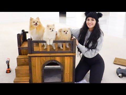 BUILDING MY DOGS A HOUSE