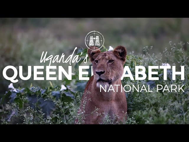 Queen Elizabeth National Park, Uganda / 2023