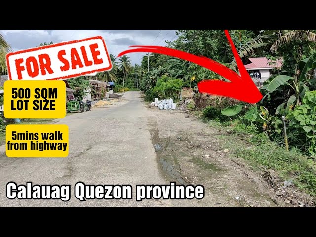#83 Lot for sale in Calauag Quezon province small cut 500sqm