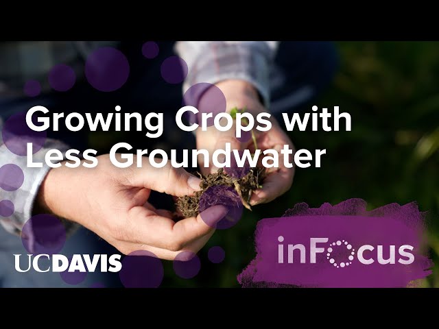 Growing Crops with Less Groundwater