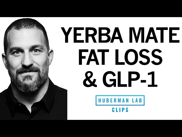 What is GLP-1 & How Does It Reduce Appetite & Promote Weight Loss? | Dr. Andrew Huberman