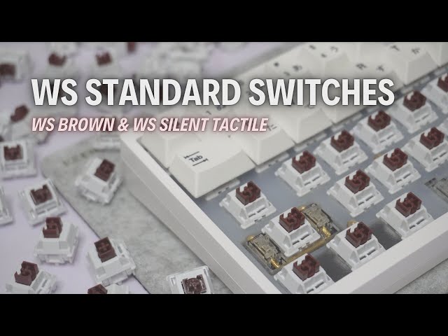 WS Brown X WS Silent Tactile Review | WS Standard Switches Series