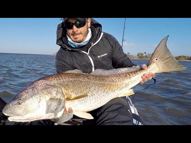 Best Cut Bait Rig For Redfish & Black Drum (When Fishing The Flats)