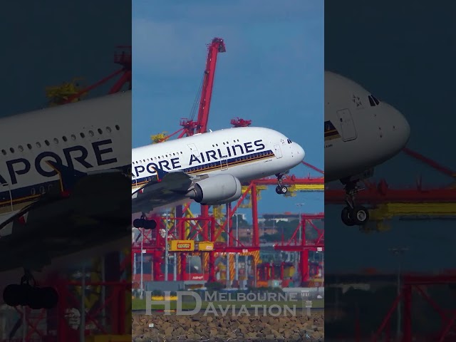 AWESOME Singapore Airlines Airbus A380 Takeoff at Sydney Airport Australia #shorts