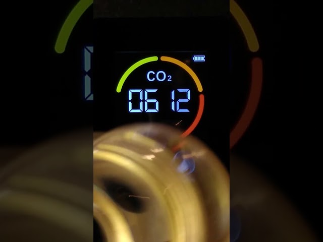 Fake carbon dioxide detector
