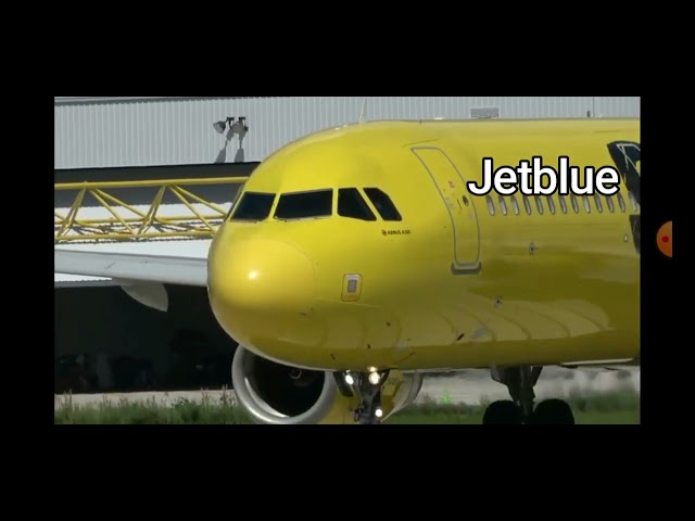 Why was the merger between jetblue and spirit not allowed