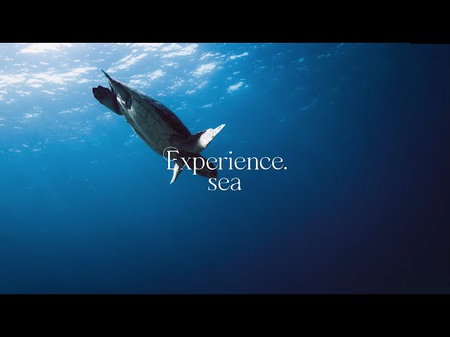 Anantara : Experience Sea
