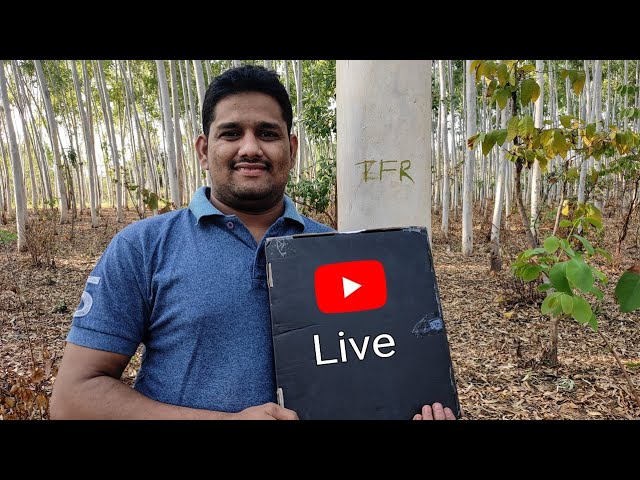 Live From Peaceful Forest || Silver Play Button