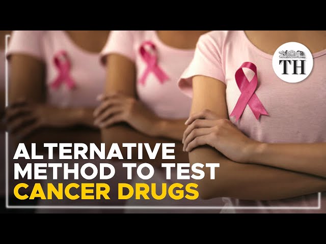 IIT Guwahati's alternative to testing cancer drugs