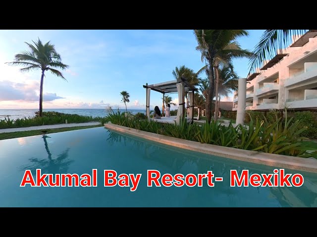 Akumal Bay Beach & Wellness Resort -Riviera Maya - Mexiko, Snorkeling at the house reef