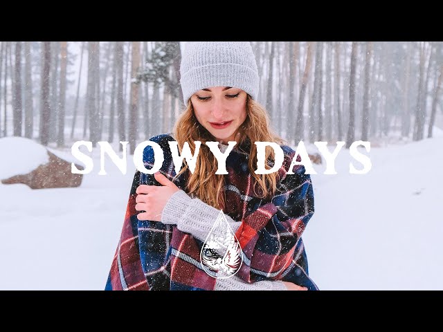 Snowy Days ❄️ - A Cold Indie/Folk/Acoustic Winter Playlist