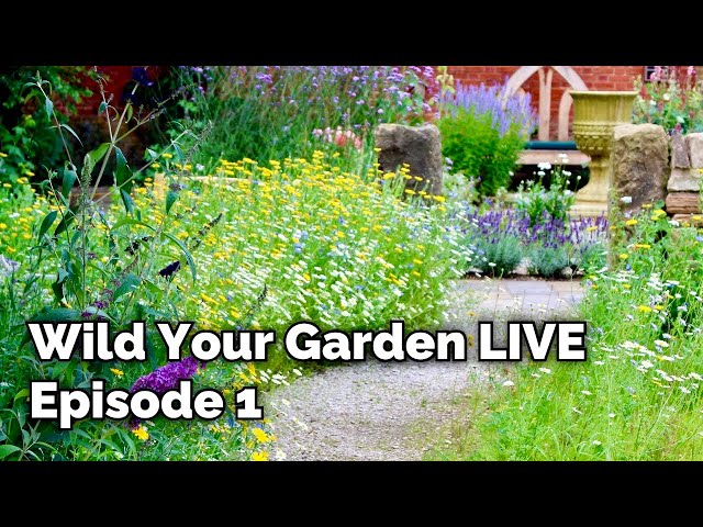 Wild Your Garden LIVE - Episode 1 - Introduction and Q&A