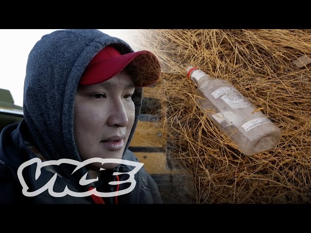 Prohibition in Northern Canada: VICE INTL (Canada)