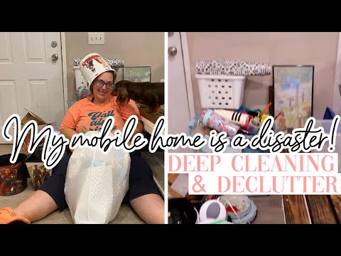 EXTREME CLEAN AND DECLUTTER SERIES / 2023