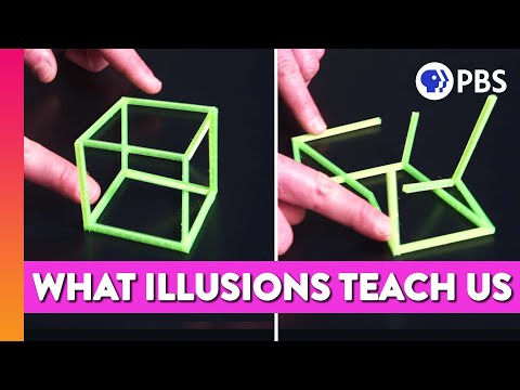 Can Illusions Teach Us How the Mind Works?