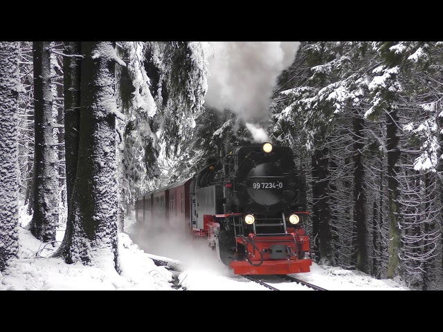 Harz Narrow Gauge Railways in Winter (4K)