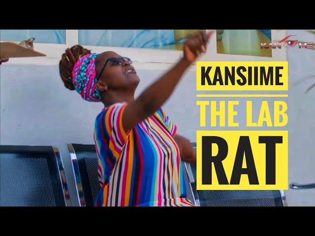 Kansiime the Lab Rat. African comedy.