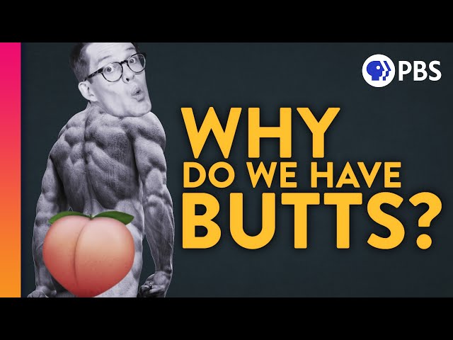 A Brief (Scientific) History of Butts