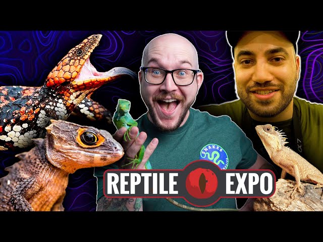 I Bought My Rarest Animal Yet! Finally Getting My DREAM Reptile with @Reptiliatus !