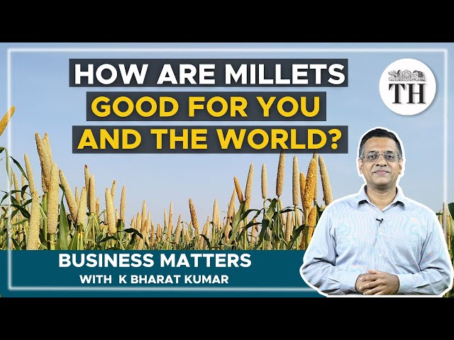 Business Matters | Why did UN declare 2023 as International Year of Millets?| The Hindu