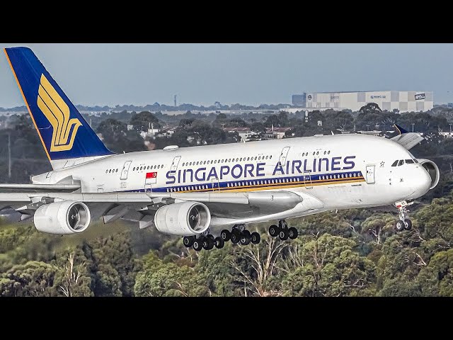 STUNNING Early Morning TAKEOFFS and LANDINGS at the T4 CARPARK | Melbourne Airport Plane Spotting